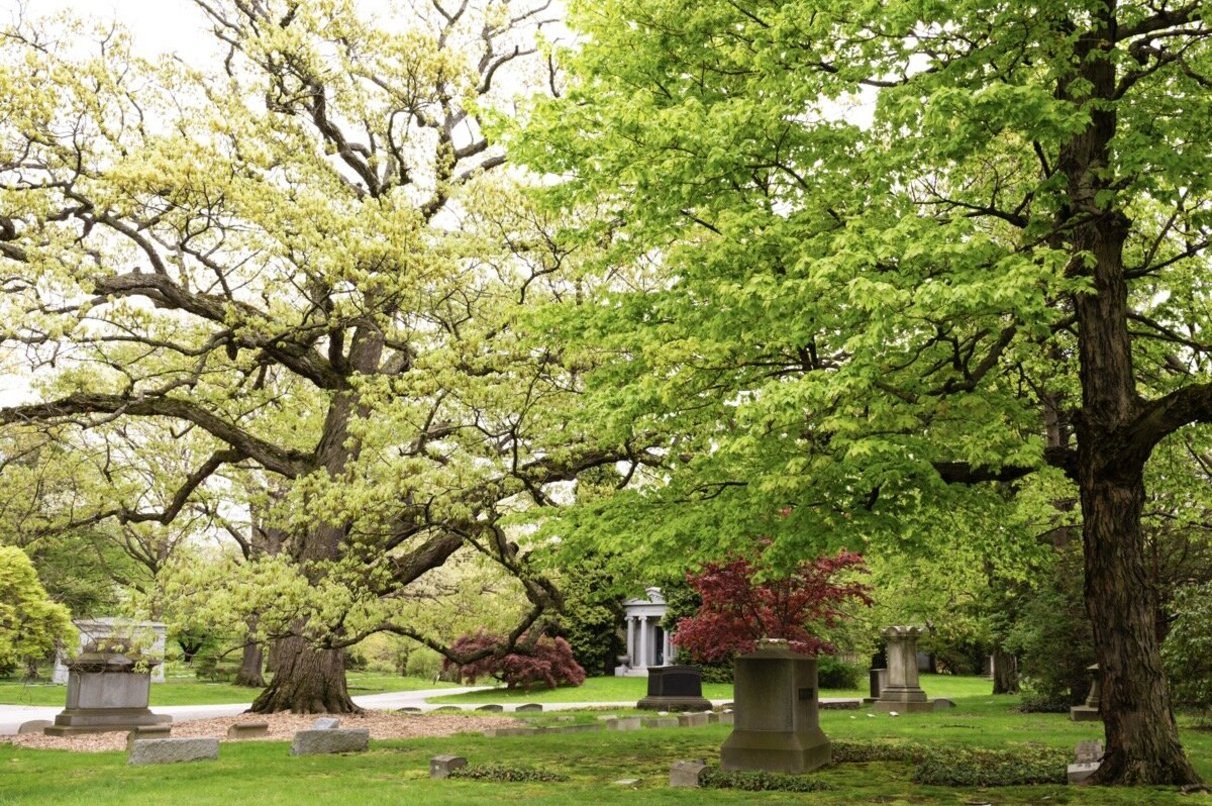 Lake View Cemetery Arboretum