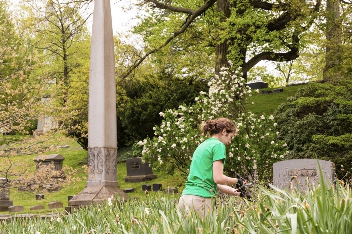 Lakeviewcemeteryspring2020 7147sm